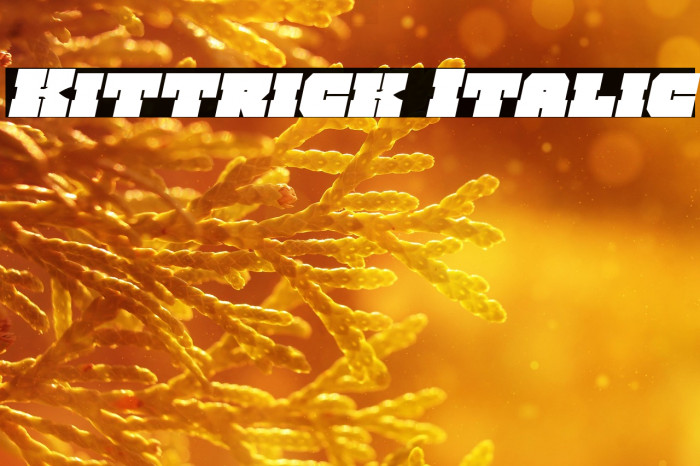 Kittrick Italic Example 2