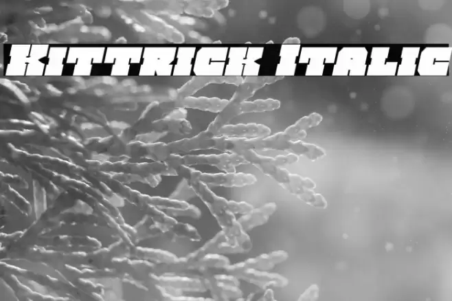 Kittrick Italic Font examples