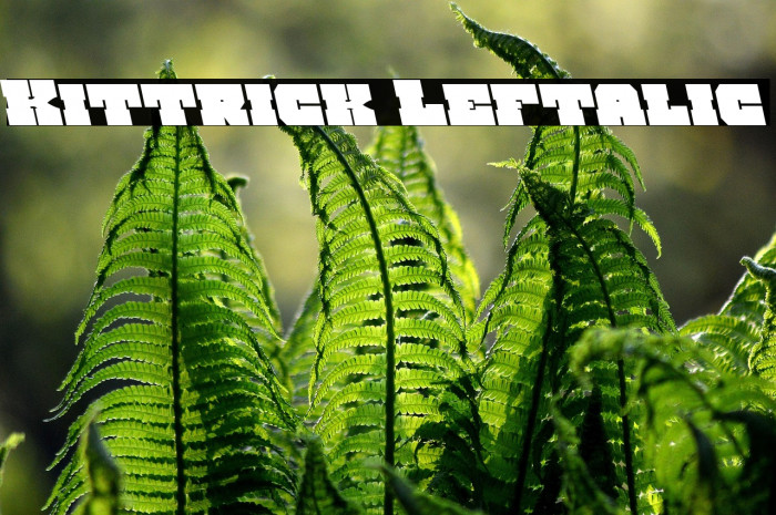 Kittrick Leftalic Example 1