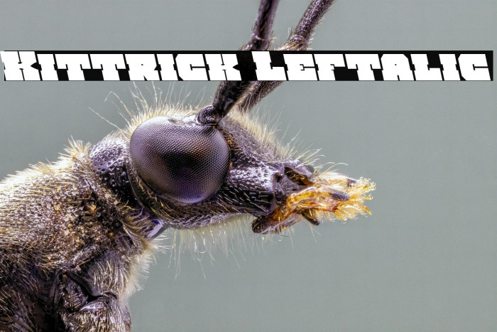 Kittrick Leftalic Example 3