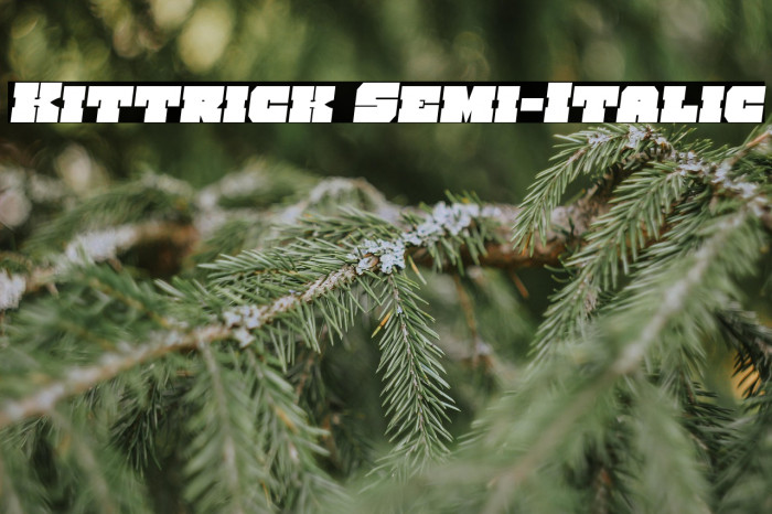 Kittrick Semi-Italic Example 2