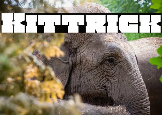 Kittrick Example 2