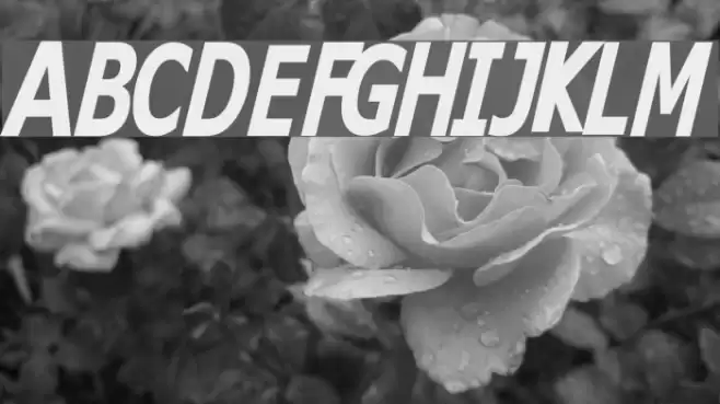 Kitty Katt Font examples