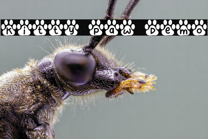 Kitty Paw Demo Example 2
