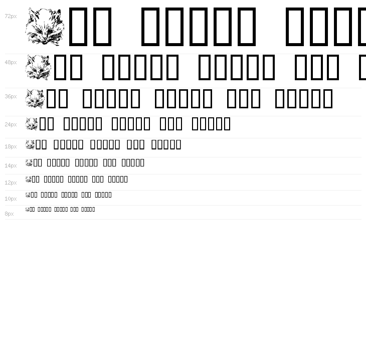 Kitty the Cat Waterfall