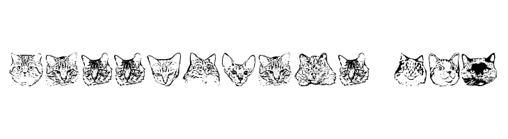 KittyPrint AOE Font