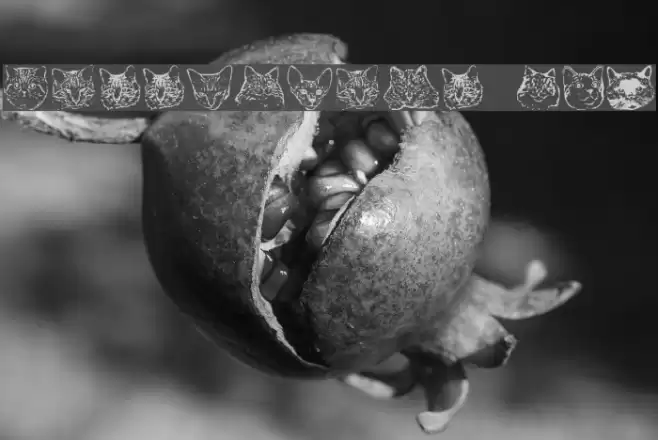 KittyPrint AOE Font examples