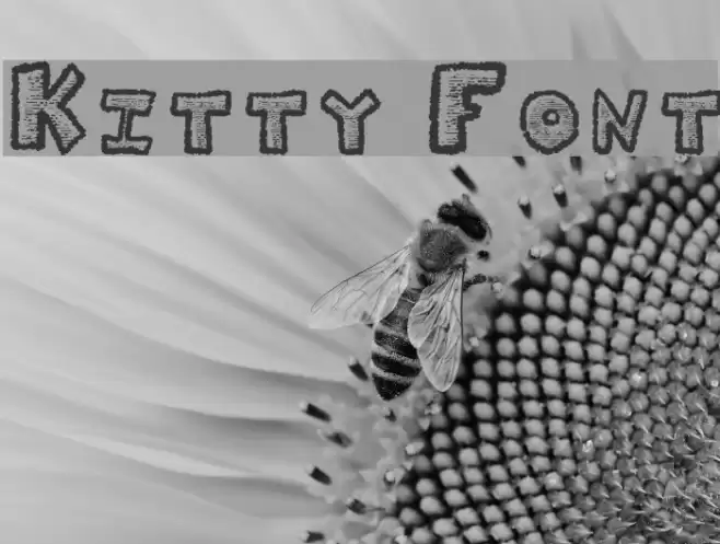 Kitty Font examples