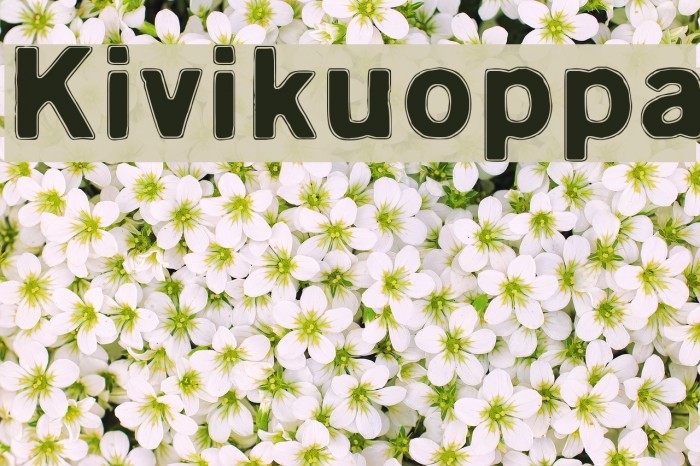 Kivikuoppa Font examples