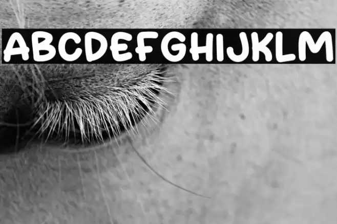 Kiwi Days Font examples