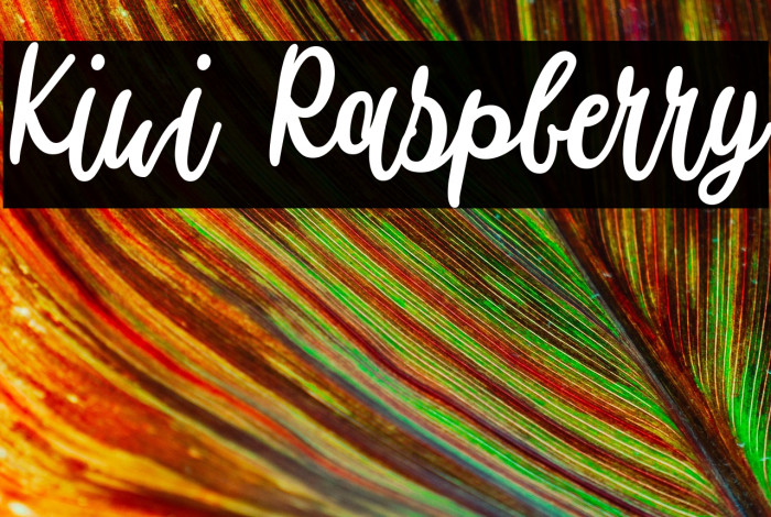 Kiwi Raspberry Example 1