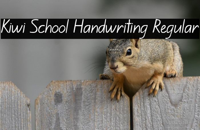 Kiwi School Handwriting Regular Example 1