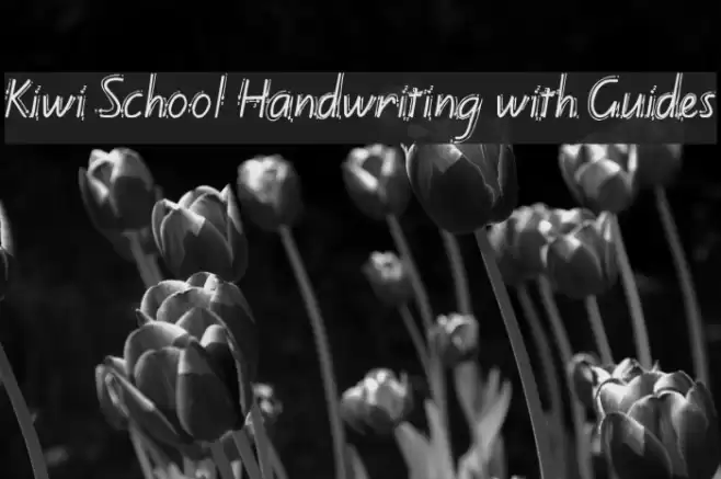 Kiwi School Handwriting with Guides Font examples