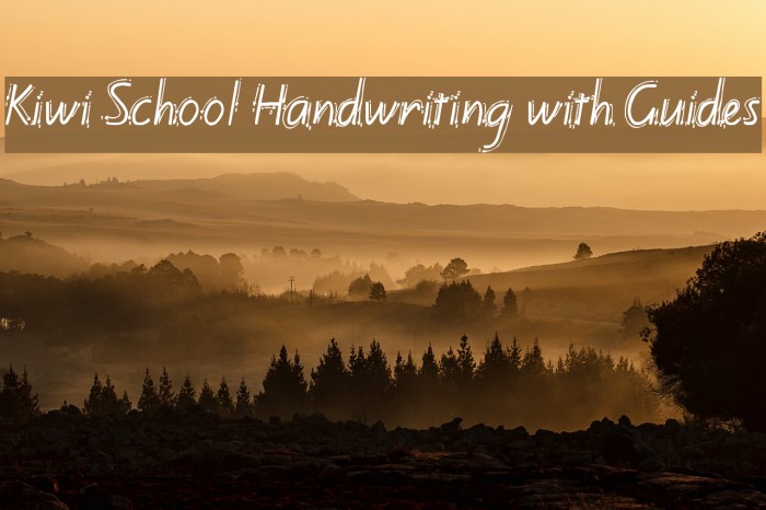 Kiwi School Handwriting with Guides Fuentes examples