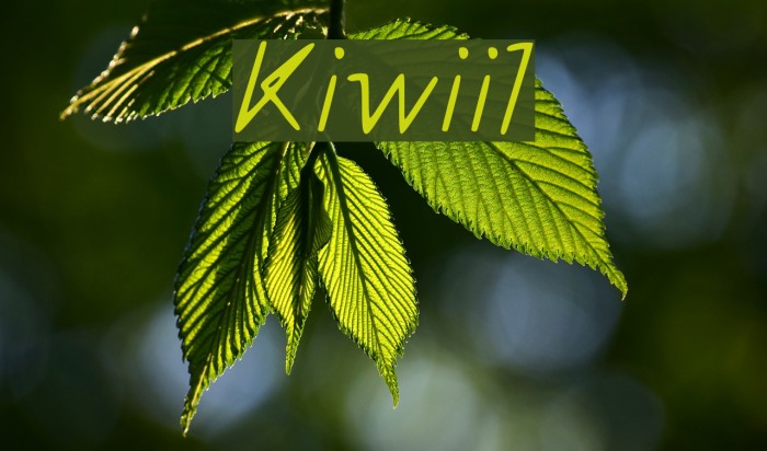 Kiwii__1 Fuentes examples