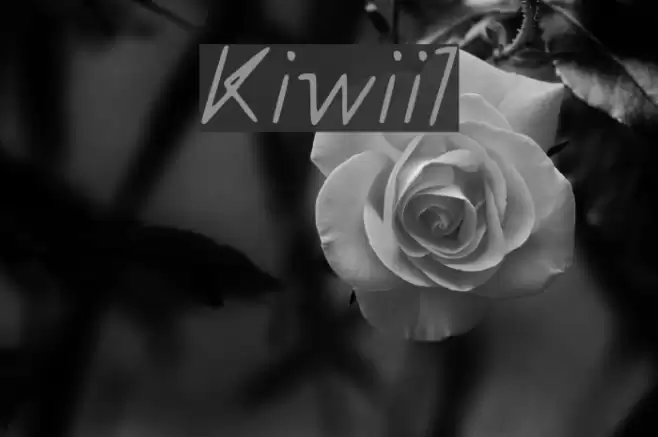 Kiwii__1 Fuentes examples