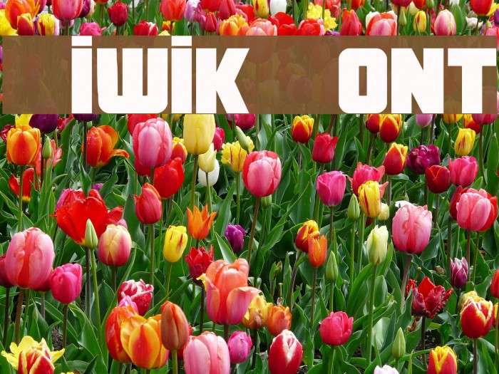 Kiwik Fuentes examples