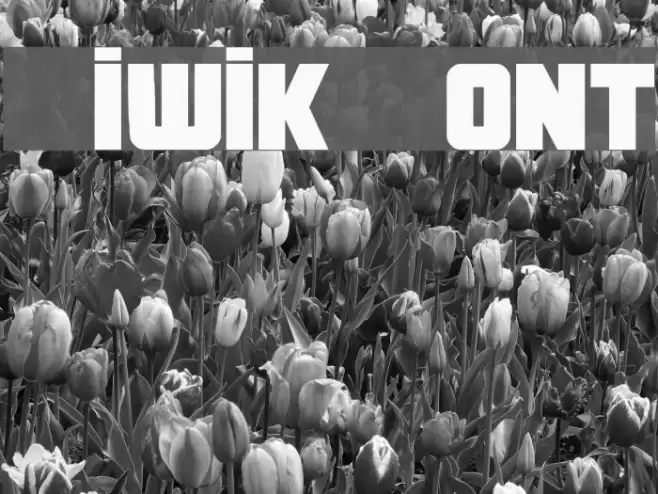 Kiwik Font examples