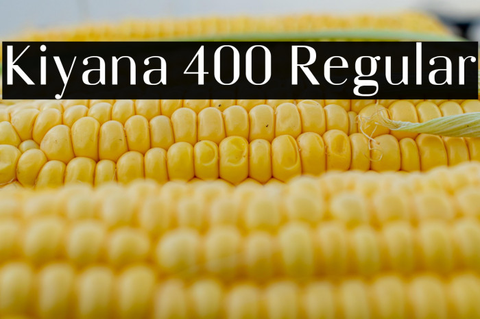 Kiyana 400 Regular Example 3