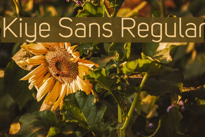 Kiye Sans Regular Example 2