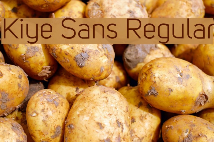 Kiye Sans Regular Example 3