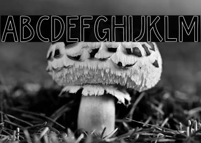 Kiyoka-Outline Font examples