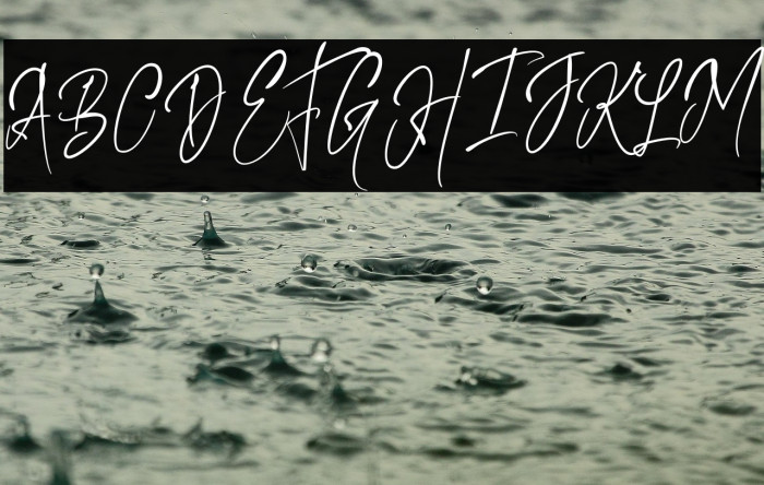 KiysoomSignature Example 2