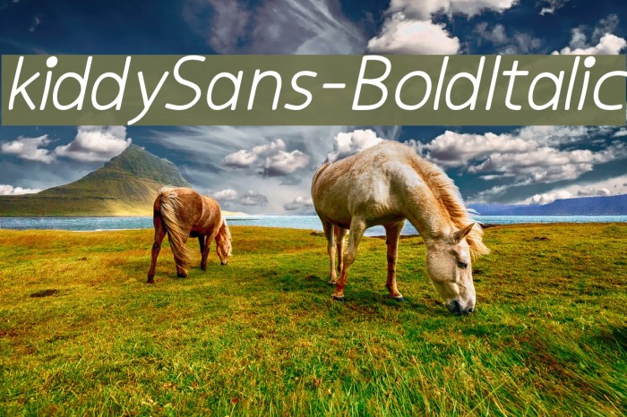 kiddySans-BoldItalic Font examples