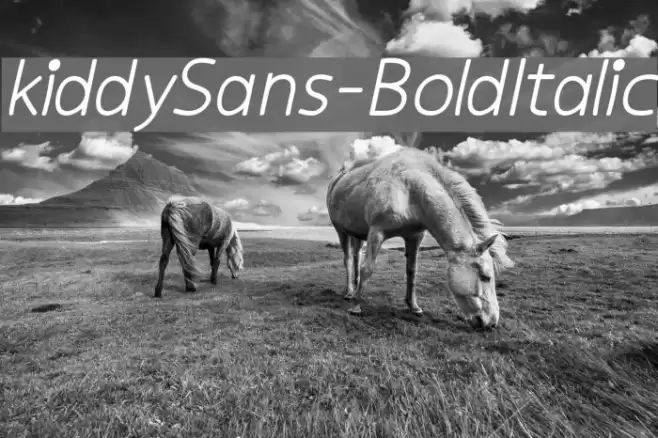 kiddySans-BoldItalic examples