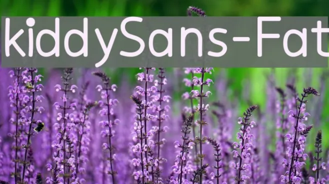 kiddySans-Fat Example 3