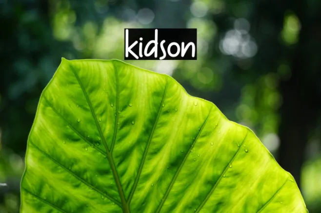 kidson Example 1