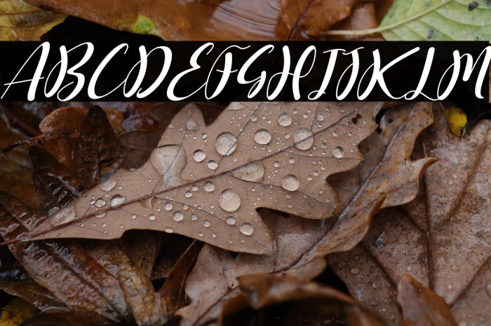 kimberlly lovely Italic Example 3