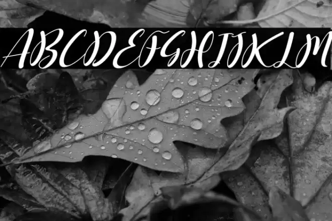 kimberlly lovely Italic Font examples