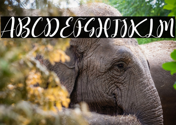 kimberlly lovely Example 2