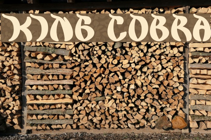 king cobra Font examples