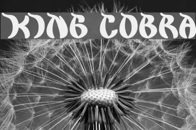 king cobra Font examples