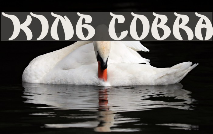 king cobra Font examples