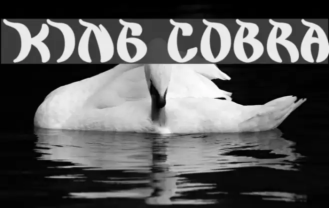 king cobra Font examples