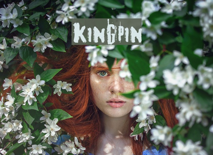 kingpin Font examples
