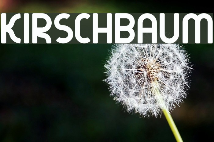 kirschbaum Font examples