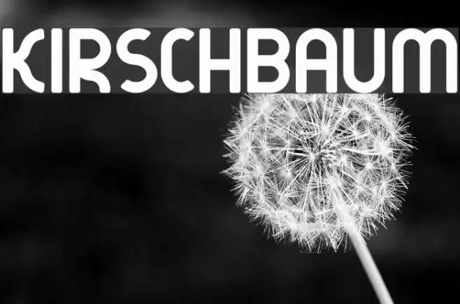 kirschbaum Fonte examples