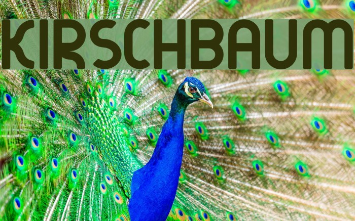 kirschbaum Font examples