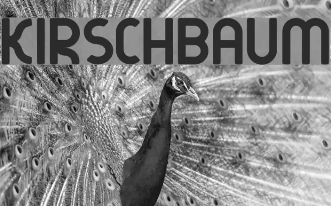 kirschbaum Fonte examples