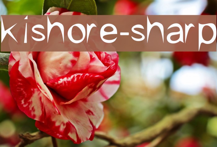 kishore-sharp Example 1