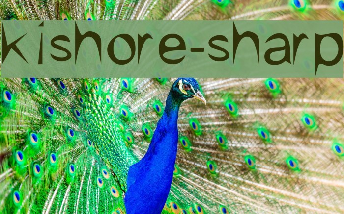 kishore-sharp Example 3