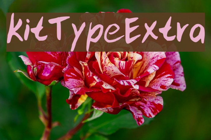 kitTypeExtra Font examples