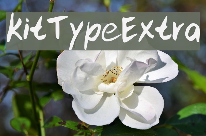kitTypeExtra Font examples