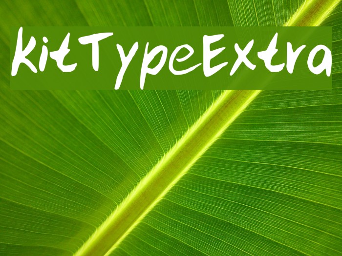 kitTypeExtra Font examples