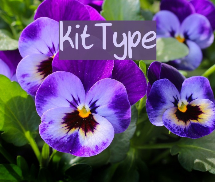kitType Font examples