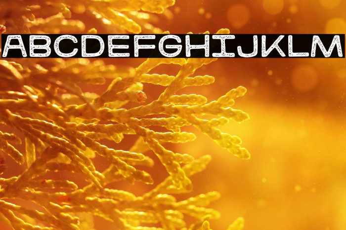 kitestrings stamp Regular Example 1